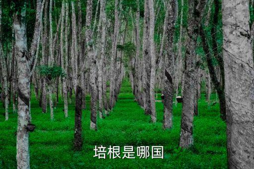 培根,英國著名散文家培根的一生