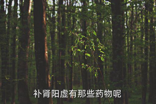 補腎陽藥，補腎壯陽的藥物
