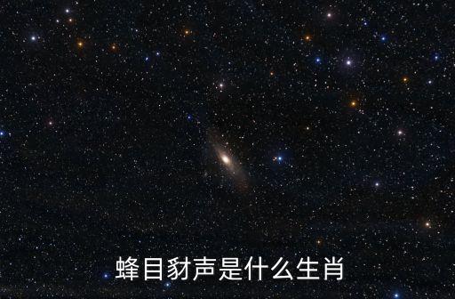  蜂目豺聲是什么生肖