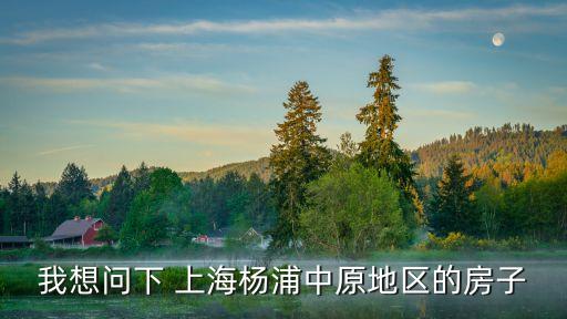 我想問(wèn)下 上海楊浦中原地區(qū)的房子