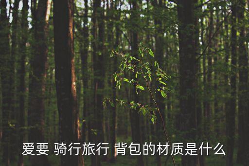 騎行背包,旅行背包不要騎長途電動踏板車