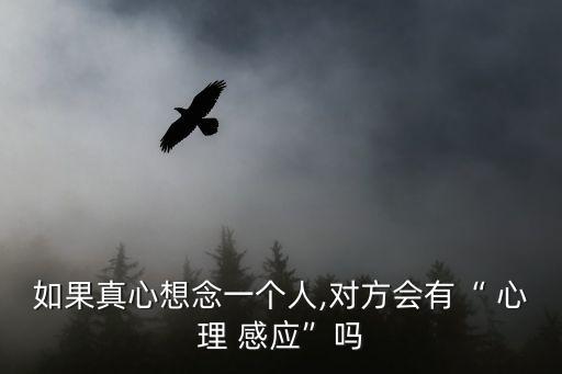心理感應(yīng),雙胞胎心靈實(shí)驗(yàn)感應(yīng):不說(shuō)話(huà)時(shí)也能思考事情