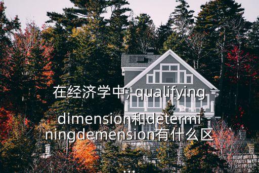 在經(jīng)濟(jì)學(xué)中, qualifyingdimension和determiningdemension有什么區(qū)...