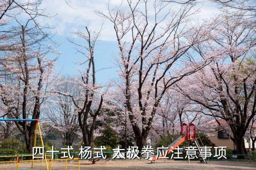 四十式楊式太極拳,練太極拳注意事項