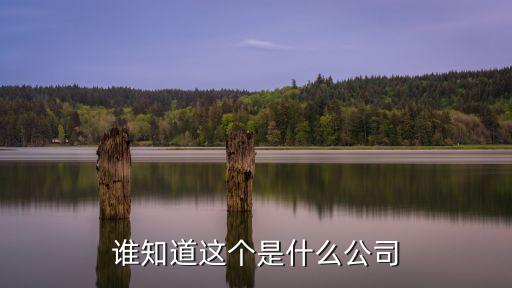 上海市奉賢區(qū)水榭蘭亭備案價(jià)，誰(shuí)知道這個(gè)是什么公司