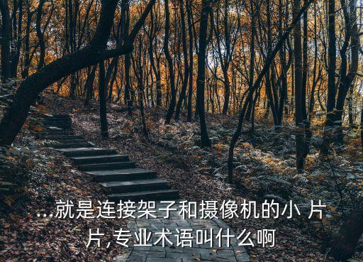 ...就是連接架子和攝像機的小 片片,專業術語叫什么啊