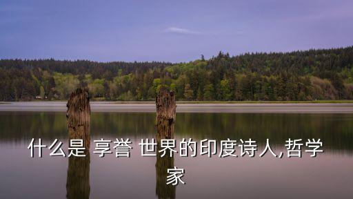 什么是 享譽 世界的印度詩人,哲學家