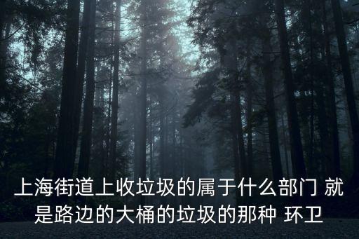 上海街道上收垃圾的屬于什么部門 就是路邊的大桶的垃圾的那種 環(huán)衛(wèi)