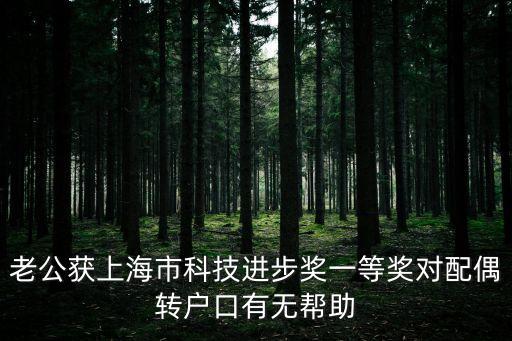 上海市技術發明獎掛名有用嗎，老公獲上海市科技進步獎一等獎對配偶轉戶口有無幫助