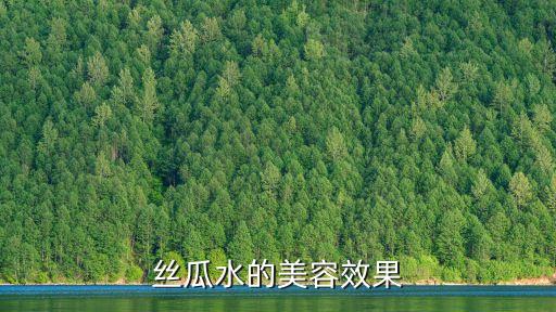 絲瓜水的美容效果