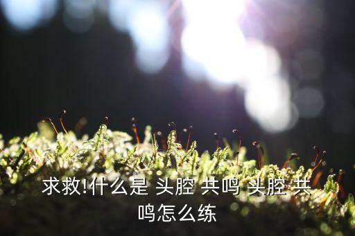 頭腔共鳴怎么練,按照上面理論多練習頭腔共鳴你自然找到