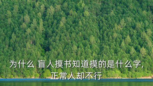 盲人圖片,先學盲文很難!我們無法通過重啟來關(guān)閉盲人模式