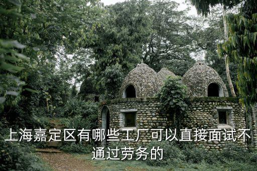 上海市嘉定區(qū)成豐電子廠，成豐電子廠有多少名員工