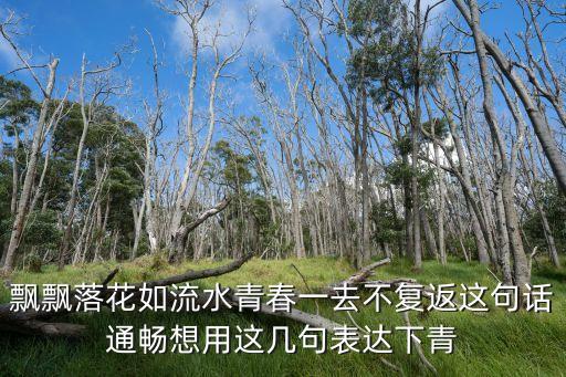 青春一去不返，飄飄落花如流水青春一去不復返這句話通暢想用這幾句表達下青