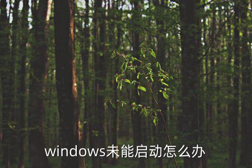 windows未能啟動怎么辦