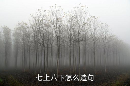 七上八下造句，用七上八下造句