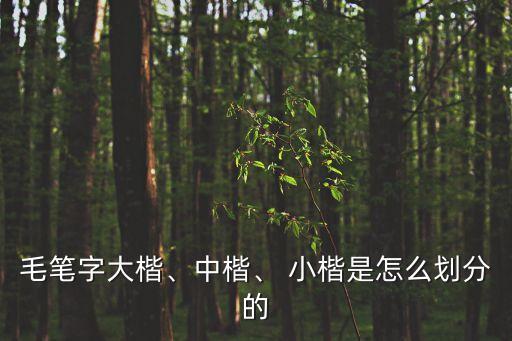 毛筆字大楷、中楷、 小楷是怎么劃分的