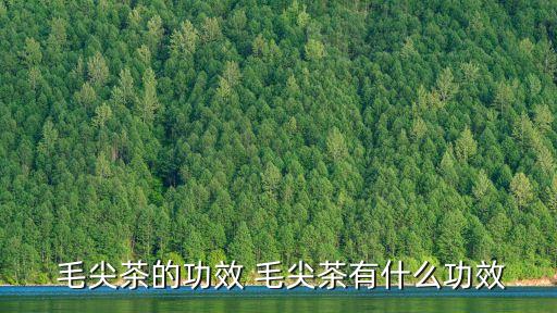  毛尖茶的功效 毛尖茶有什么功效