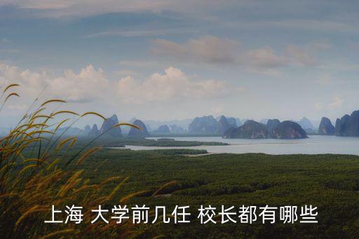上海科技大學(xué)校長,上海科技大學(xué)成立以理工科為主的大學(xué)