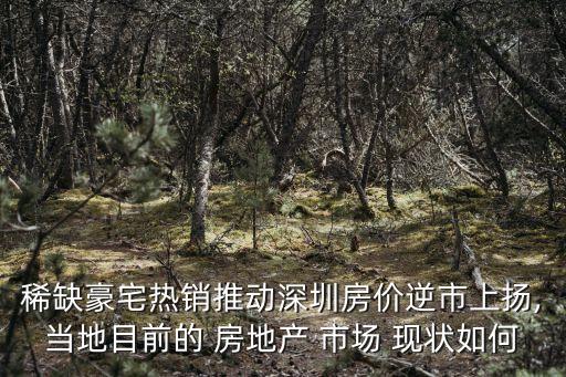 房地產市場現狀,靈璧市是安徽省最大城市之一投資前景良好