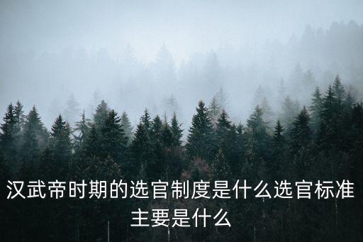 征辟制和察舉制,武漢漢武帝時(shí)期推行征辟制度選官