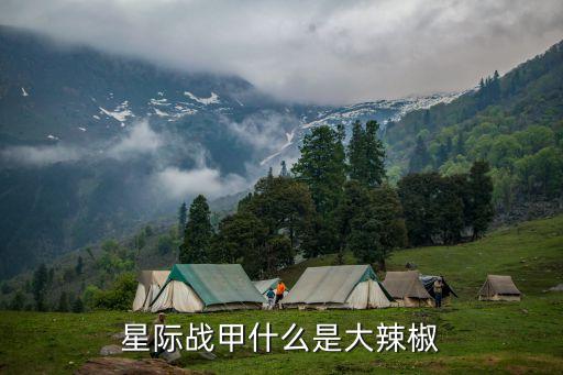 星際戰甲什么是大辣椒