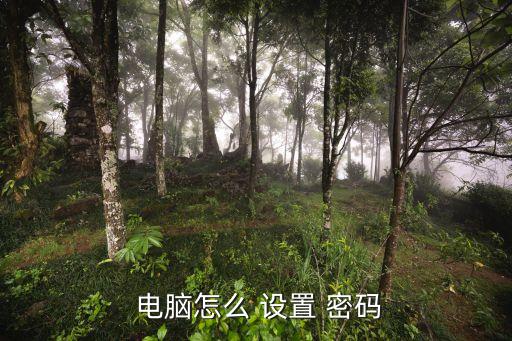 設置電腦密碼,第五步輸入秘籍姿勢碼設置密碼管理員密碼