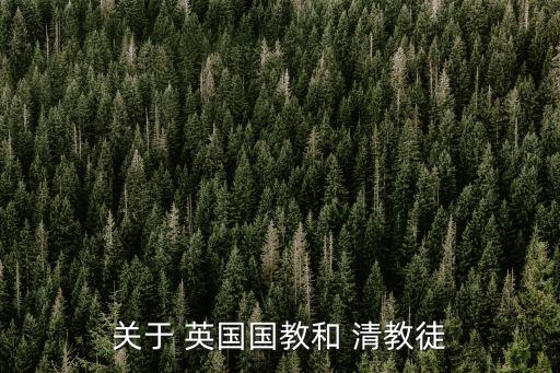 英國(guó)清教,清教是英國(guó)基督教新教教派之一