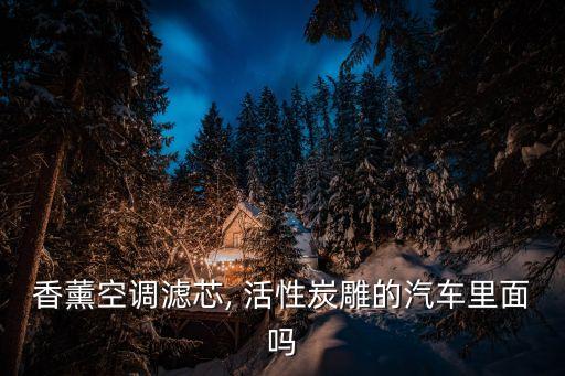 香薰空調濾芯, 活性炭雕的汽車里面嗎