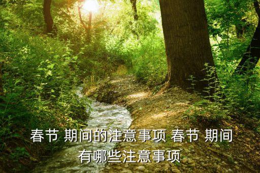  春節 期間的注意事項 春節 期間有哪些注意事項