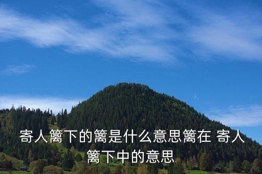 寄人籬下什么意思,為什么要跟風寄人籬下?原來是這樣兩男