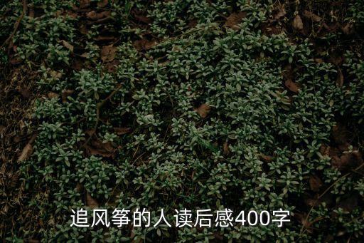 追風箏的人讀后感，追風箏的人讀后感200百字左右