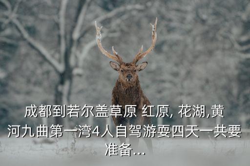 成都到若爾蓋草原 紅原, 花湖,黃河九曲第一灣4人自駕游耍四天一共要準(zhǔn)備...