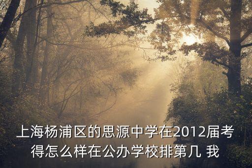 上海市思源中學中考升學率，上海楊浦區的思源中學在2012屆考得怎么樣在公辦學校排第幾 我