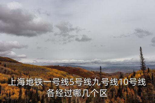 上海市5號地鐵線全程線路圖，上海市地鐵五號線經過哪些站