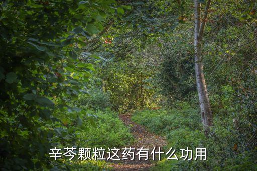 辛芩顆粒這藥有什么功用