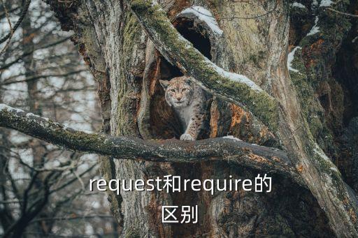  request和require的區(qū)別