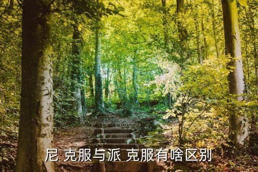 尼 克服與派 克服有啥區(qū)別