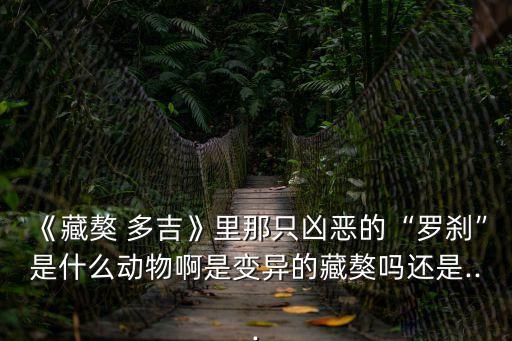 藏獒多吉,《藏獒多吉》原作者改編漫畫引發爭議