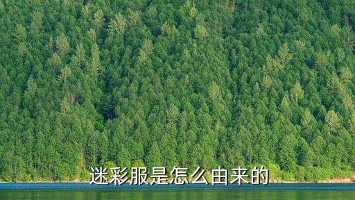 迷彩服,新款迷彩服根據不同作戰區域設計多種配色款式