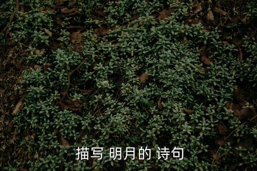 描寫明月的詩句,九月初三夜月亮如珍珠星如弓