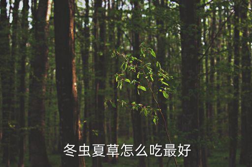 冬蟲夏草怎么吃最好