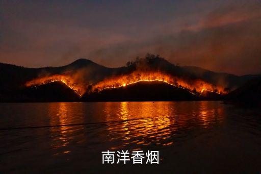 南洋龍怒，香港牌南洋煙