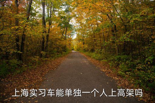 上海實習車能單獨一個人上高架嗎