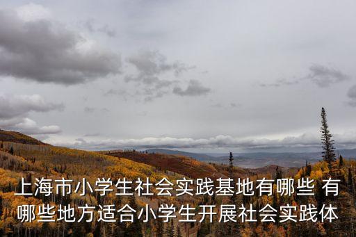 上海市小學生社會實踐基地有哪些 有哪些地方適合小學生開展社會實踐體