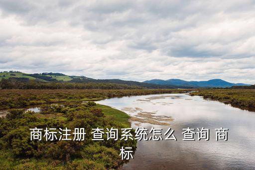  商標注冊 查詢系統(tǒng)怎么 查詢 商標