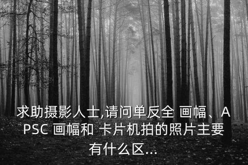 求助攝影人士,請問單反全 畫幅、APSC 畫幅和 卡片機拍的照片主要有什么區...
