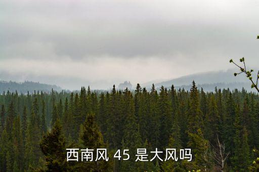 西南風(fēng) 45 是大風(fēng)嗎