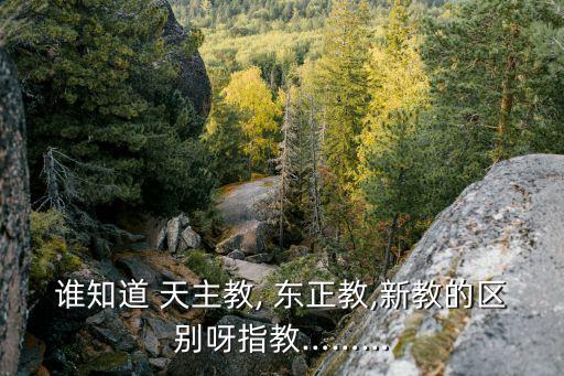 東正教和天主教的區(qū)別,基督教分三大流派天主教和新教各占一半