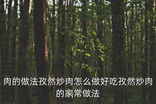 孜然炒肉，孜然炒肉怎么做